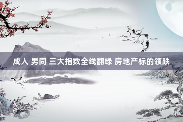 成人 男同 三大指数全线翻绿 房地产标的领跌