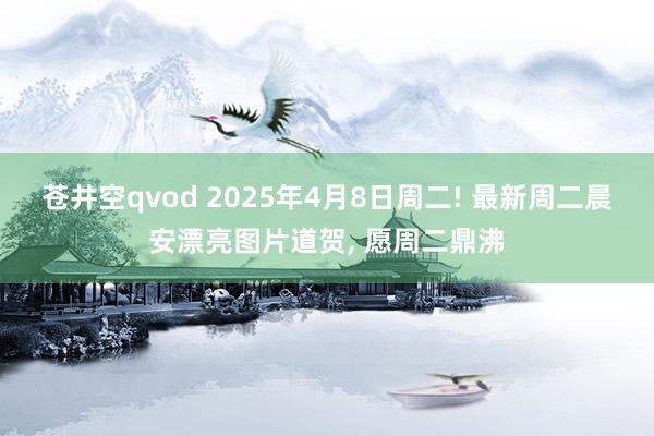 苍井空qvod 2025年4月8日周二! 最新周二晨安漂亮图片道贺， 愿周二鼎沸
